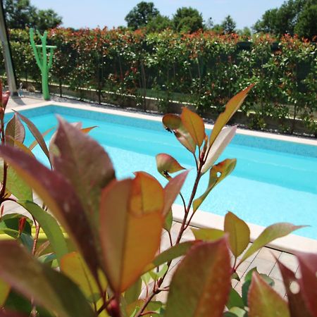 Apartments Green Garden Labinci Exterior foto